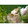 CHAIR & TABLE SET SLATTED