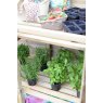 Forest Garden Forest Garden Mini Greenhouse