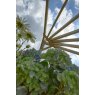 Forest Garden Forest Garden Premium 90 Degree Radial Pergola