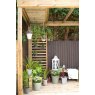 Forest Garden Forest Garden Dining Pergola