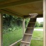 Forest Garden Forest Garden Rabbit Hutch