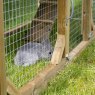Forest Garden Forest Garden Rabbit Hutch