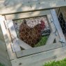 Forest Garden Forest Garden Small Starter Coop