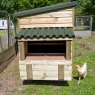 Forest Garden Forest Garden Large Hen House