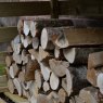 Forest Garden Forest Garden Pent Log Store