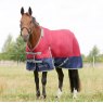 StormX Empra Turnout Rug With Detachable Neck Burgundy 200g
