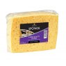 SPONGE LINCOLN