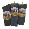 SOCK HIKE MERINO WOOL MNS ASST