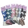 SOCK LEISUREWEAR DOGS LDS ASST