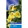 SEED NASTURTIUM PEACH MELBA