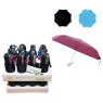 UMBRELLA AUTO OPEN ASST DASH