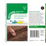SUTTONS Suttons Mendoza Dwarf Bean Seeds