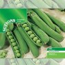 SEED PEA MUCIO