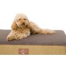 Snug & Cosy Snug & Cosy Blended Memory Foam Dog Bed