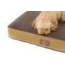 Snug & Cosy Snug & Cosy Block Memory Foam Dog Mattress
