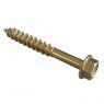COACH SCREW 5PK ZYP