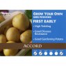 SEED POTATO ACCORD 2KG SEED POTATO ACCORD 2KG