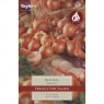 BULB SHALLOT RED SUN 7-14 10 BULB SHALLOT RED SUN 7-14 10
