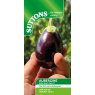 SEED AUBERGINE SOLANUM MELONGENA BABY BLK SEED AUBERGINE SOLANUM MELONGENA BABY BLK