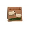 CARD WISH EWE WERE HERE SHEEP