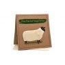 CARD SAW THIS & THOUGHT OF EWE