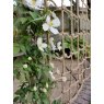 Treadstone The Good Life Natural Rope Trellis