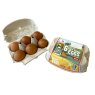 EGGS M 6PK COUNTRY LANE