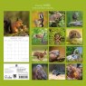 Gifted Stationary Square Country Wildlife Calendar 2027