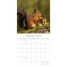 Gifted Stationary Square Country Wildlife Calendar 2027