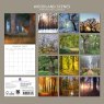 Gifted Stationary Square Woodland Scenes Calendar 2027