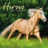 Gifted Stationary Square Horses Calendar 2027