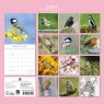 Gifted Stationary Square Birds Calendar 2027