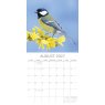 Gifted Stationary Square Birds Calendar 2027