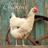 Gifted Stationary Square Chickens Calendar 2027