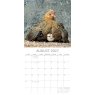 Gifted Stationary Square Chickens Calendar 2027