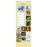 Gifted Stationary Slimline Horses Calendar 2027