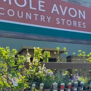 🌱 Give your garden the best start this with our compost range at Mole Avon Country Stores! Whether...