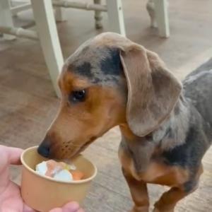 🐶 Pup Menu 🐶 We love seeing all of your dogs when you come to visit us. Did you know we have a...