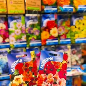 🌱 50% OFF ALL Sutton Seeds! 🌱 Now's the perfect time to stock up on your favourite flower, vege...