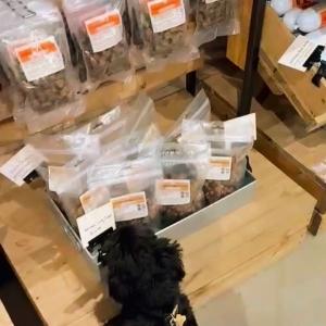 Tried, tested, and a firm favourite here at Mole Avon Country Stores 🐾 JR Pet Food is a must-have...