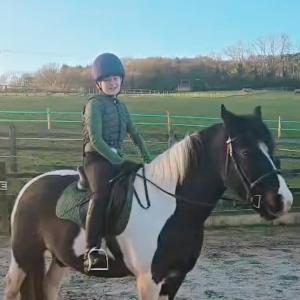 Proper nutrition is the key to your horse’s health, performance, and happiness. ✨ With our wide s...