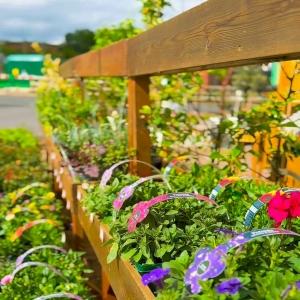 Ready to transform your outdoor space? Now’s the perfect time! 🔥 MEGA DEALS on gardening supplie...