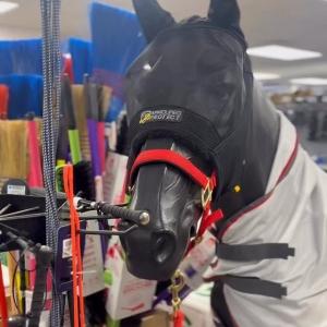 🐴 Equine First Aid & Health Essentials at Mole Avon! ✨ Whether you’re heading out to a competi...