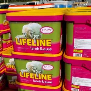 ‼️ DIRECT OFFER ON LIFELINE LAMB & EWE BUCKETS OR BLOCKS! 🐑 Get your flock in peak condition w...