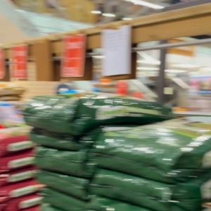 🐶🐱 Big or small, fluffy or feathery, we’ve got everything your pets need! The pet department...