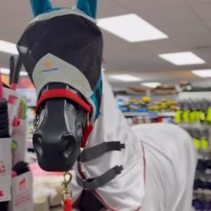 🐴🪰Buzz off pesky flies🪰🐴 Say goodbye to unwanted guests and protect your horses with our...