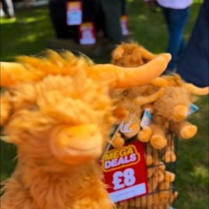It’s all about MEGA DEALS & BIG BRANDS at the Devon County Show 🔥 Don’t forget… keep an eye...