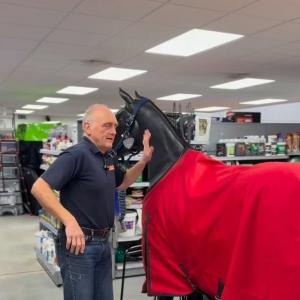 Wrap your Horse in comfort with the Gallop Trojan Stable Rug 200g. Only £27 at Mole Avon Country Sto...