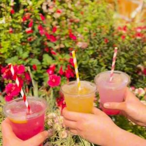 ☀️ Cool down with a summer cooler from the café at Mole Avon Country Stores, Crediton! 🧊 We c...