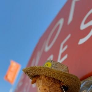 Who’s ready for Okehampton show? Find us tomorrow on stand 101 for some fantastic offers! See you b...